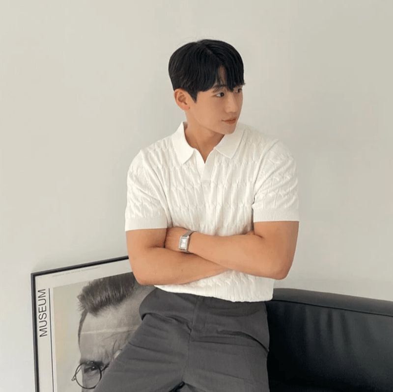 Domoir | Versatile Comfort Polo Shirt