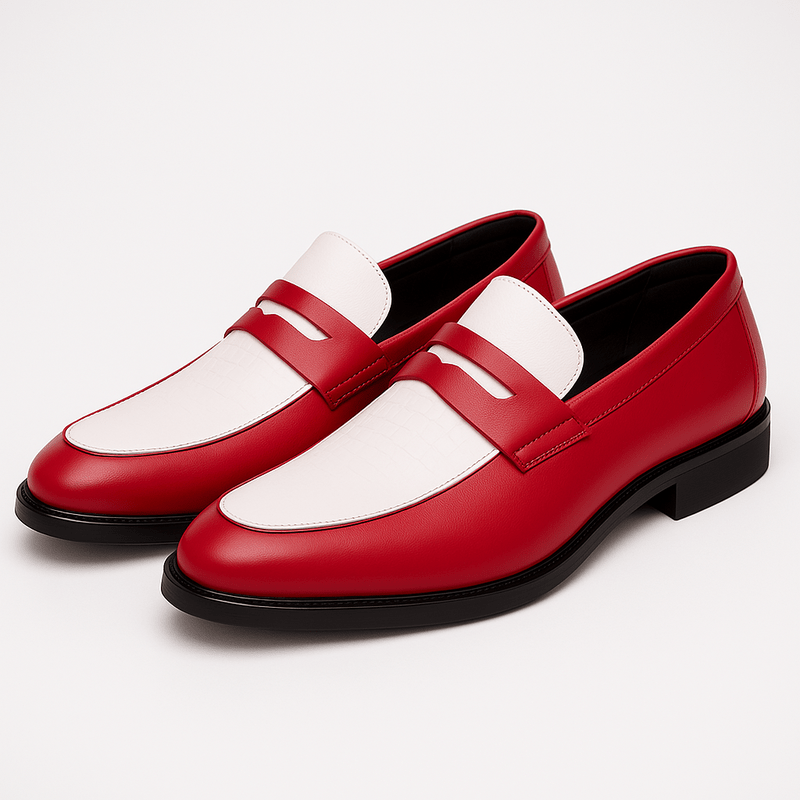 Domoir | Multicolor Loafers